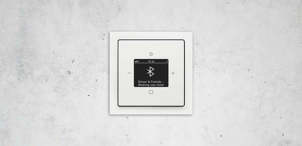 Busch-Radio Btconnect bei Elektro Jung GmbH in Großkrotzenburg